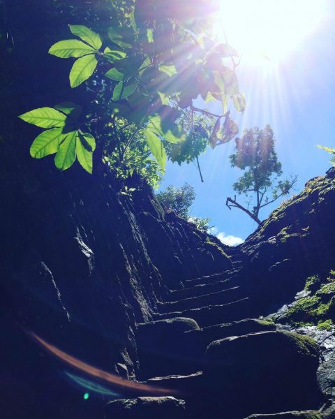 Những bậc thang trơn trượt nơi  thác Voi Đà Lạt